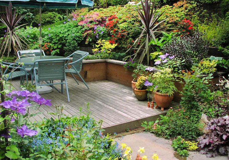 Landscaping and Garden Maintenance in Bellevue Seattle