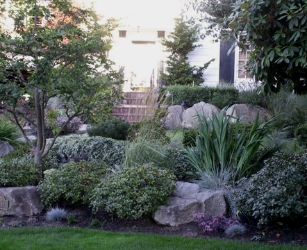 Maintenance-free garden design by Environmental Construction, Kirkland WA