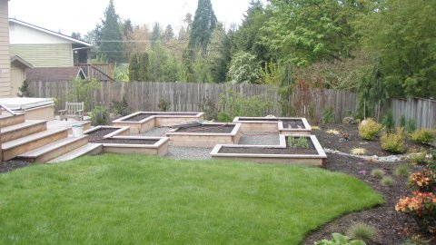 Edible garden with raised beds designed by Environmental Construction Inc. in Kirkland WA
