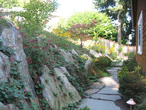 Rock and plants installed in hillside and walkway by Environmental Construction Inc. in Kirkland WA