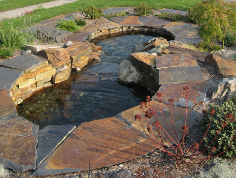 Pools and ponds designed by Environmental Construction Inc. in Kirkland WA