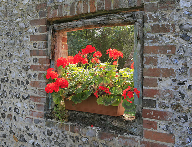 Garden wall with window plants