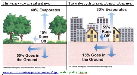 The water cycle in natural and in suburban/urban areas